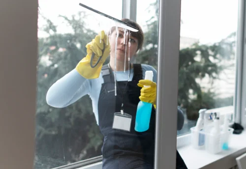 Nettoyage de vitres intérieures et extérieures à Rigney
